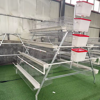 Cage à poules pondeuses de type A à 3 ou 4 niveaux, galvanisée, pour 96, 128, 160, 120 oiseaux, cage en batterie pour poules pondeuses, équipement d'élevage