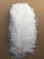 Plumes d'autruche longues noires pour décoration de fête, bricolage, artisanat, 45 cm, en vrac, grandes plumes blanches pour centre de table, décoration de carnaval, décoration de la maison