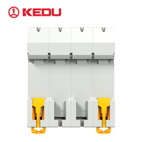 Disyuntor en miniatura KEDU CKDB2 4P de alto rendimiento 250V 10kA directo de fábrica con certificación tipo B/C/D/K VDE y CE CB