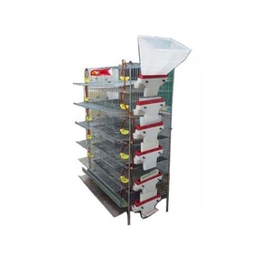 Gabbia <span class=keywords><strong>per</strong></span> Quaglie di Alta Qualità Tipo H con Alimentazione Automatica <span class=keywords><strong>per</strong></span> Produzione di Uova e Allevamento di <span class=keywords><strong>Uccelli</strong></span> - Product Image 1
