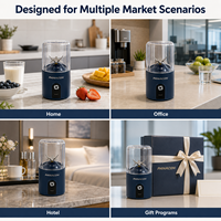 Mixeur portable personnalisable OEM ODM pour smoothies du petit-déjeuner, jus frais et boissons aux fruits
