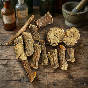 Racine séchée de Tinospora Cordifolia coupée, Racine naturelle de Tinospora Cordifolia, Racine de Giloy de qualité supérieure, Matière première séchée - Product Image 4