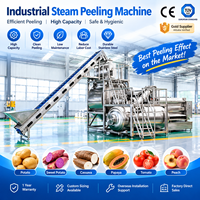 Industriële aardappel- en groentepelingsmachine 3T/H met SUS 304 constructie, hoge efficiëntie voor aardappelverwerkingsbedrijven
