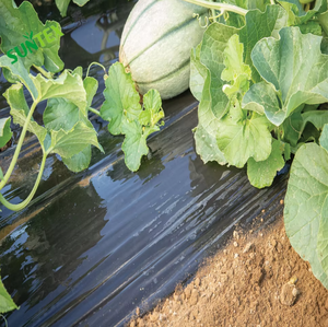 Malla Antihierbas Biodegradable de 1.5m x 500m <span class=keywords><strong>para</strong></span> Plantas y Vegetales, Cobertura del Suelo, Plástico de 20 Micras - Product Image 5