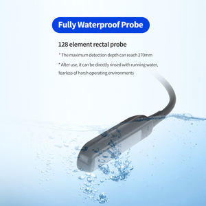 Strumento di Diagnosi Veterinaria a Ultrasuoni Regolabile per Animali da Allevamento, Modello per Diagnosi Veterinaria a Ultrasuoni - Product Image 2