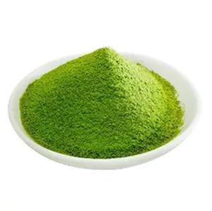 High Quality Bulk food grade moringa leaf extract Powder Moringa extract