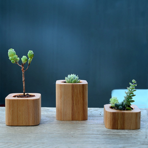 Vaso per <span class=keywords><strong>Fiori</strong></span> Quadrato in Legno Massiccio per Decorazione Casa, Mini Vaso per Piante Succulente - Product Image 2