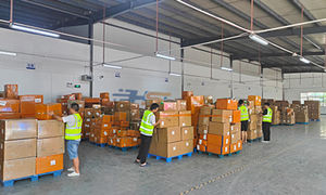 <span class=keywords><strong>DHL</strong></span> express глобальная транспортная служба до дверной логистики - Product Image 2