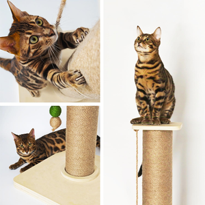 <span class=keywords><strong>Griffoir</strong></span> vertical en bois et sisal à 2 niveaux <span class=keywords><strong>pour</strong></span> <span class=keywords><strong>chat</strong></span>, tour d'escalade et de griffage, avec balles suspendues tressées en 3 couleurs - Product Image 2