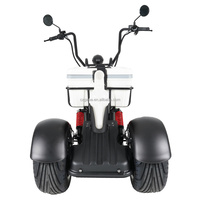 GaeaCycle M6G 3 tekerlekler 2000W tam süspansiyon kıyıcı tarzı elektrikli Golf arabası Scooter satılık