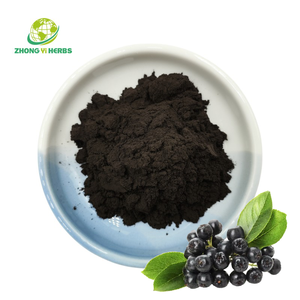 食品ガルドピュアビルベリーエキス25% アントシアニン粉末Eu-frenchスタンダード - Product Image 1