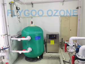 Flygoo destructor de escape de ozono altamente eficiente elimina el dispositivo destructor de ozono de gas - Product Image 5