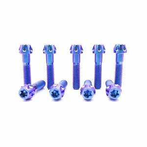 HTY Titanium Alloy Screw M6 M8 Disc Screw Inner Plum Blossom Petal Head screws