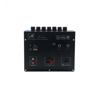 Amplificateur 40W avec entrée microphone et haut-parleur, carte d'amplification audio numérique professionnelle