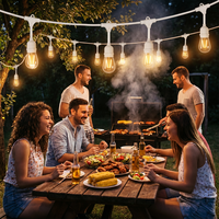 Ampoule LED S14 blanc chaud 2700K, robuste, résistante aux intempéries, connectable, pour extérieur, véranda, terrasse, mariage, fête, guirlande lumineuse