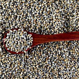 Exportation de millet perlé doré - Product Image 1