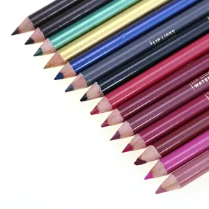 Crayon de revêtement mat étanche pour lèvres, étiquette privée, meilleure vente, sans cruauté pour les animaux, nouveau modèle
