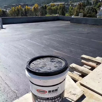 Peinture de revêtement imperméable pour Membrane de toit en ciment métallique, vente en gros