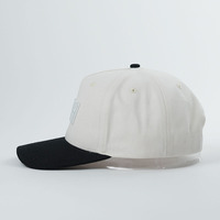 Hoge kwaliteit op maat gemaakte LOGO 5-panel baseballcap voor heren, verstelbaar, katoen/polyester/stof, 3D geborduurde cap voor mannen