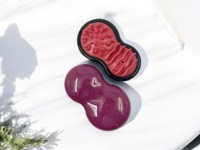 Masseur corporel manuel 100 % chinois en plastique, matériau PS/TPR, modèle BP-339, avec retour et remplacement – Vente chaude