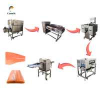 Machine de transformation du poisson tilapia / Trancheuse à poisson / Machine à éviscérer
