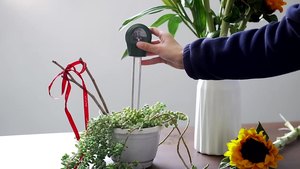 Planta 3 do jardim em 1 umidade do solo/sensor do verificador do solo do medidor da luz/<span class=keywords><strong>PH</strong></span>