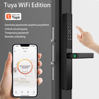 Cerradura Inteligente de Doble Cara DQ002, Impermeable, con Huella Dactilar, Contraseña y Tarjeta, Compatible con Tuya Cloud, para Puerta de Acero, Puerta Corredera Exterior