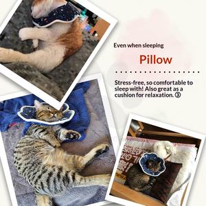 Collar Isabelino WISSUA Ligero, Transpirable, Suave y Bonito para el Cuidado <span class=keywords><strong>de</strong></span> Lesiones, Prevención <span class=keywords><strong>de</strong></span> Arañazos y Cuidado Postoperatorio para Gatos y Perros Pequeños - Product Image 6