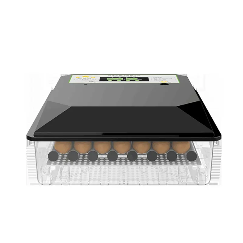 Incubateurs d'oeufs Machine à couver entièrement automatique Mini incubateur d'oeufs noirs à vendre