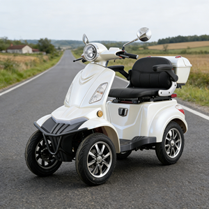 Scooter électrique à quatre roues compact et agile, moteur 60V/1000W, Vista Quater-pro - Product Image 1