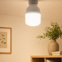 Ampoule LED domestique 10W 20W B22 E26 E27 Haute puissance 70-130lm/w Vente en gros auprès d'un fournisseur LED