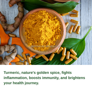 OEM 수요가 많은 심황 보충제 | 뜨거운 판매 허브 커큐민 심황 캡슐 - Product Image 4