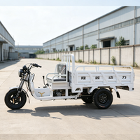 Tricycle cargo à essence Loncin 150cc, 2 places, possibilité d'ajouter un abri contre la pluie, économique, durable, tricycle à moteur pour le transport de marchandises