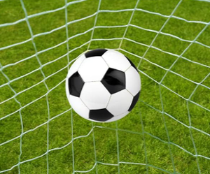 רשת מטרה ניידת איכותית לכדורגל - Product Image 2