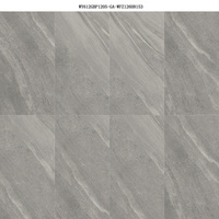 Carrelage en porcelaine de 10 mm d'épaisseur, 600x1200 mm, grain de pierre gris, finition mate, pour murs et sols