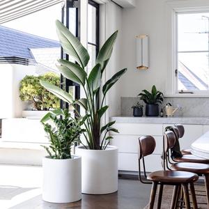 가정, 유치원 및 쇼핑몰용 정원 유리섬유 레저 트리 장식 야외 화분 - Product Image 5