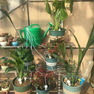 Piquets d'<span class=keywords><strong>arrosage</strong></span> des plantes dispositifs automatiques Irrigation goutte à goutte des plantes à libération lente pointes d'eau intérieures et extérieures pour plantes en pot - Product Image 4