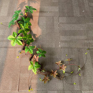 Plantas Artificiales para Decoración de Paredes y Paisajes, Enredaderas Artificiales, Enredaderas Secas, Accesorios para Escalar Ventanas - Product Image 4