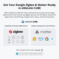 Dongle USB Zigbee 3.0 Plus SONOFF ZB Dongle-P Passerelle Zigbee universelle compatible via ZHA ou Zigbee2MQTT Série Sonoff Zigbee