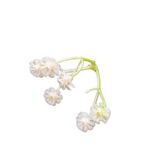 Wen Hope <b>Artificial</b> Baby's Breath <b>Flowers</b> White 3-Pronged Starry Sky DIY Floral <b>Arrangement</b> Materials - Product Image 5