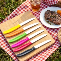 Couteau à steak portable en acier inoxydable, coloré, pour desserts, fruits et tomates, à lame dentelée, avec manche en PP, pour cuisine et table.