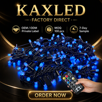 Guirlande lumineuse LED extérieure personnalisée IP65 en PVC pour arbres, rideaux lumineux, décoration de Noël et de mariage pour fêtes et événements