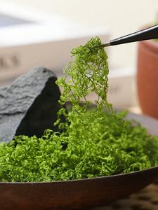 หญ้าเทียมสีเขียวทหาร โพลีเอสเตอร์ ขนาดเล็ก ทนทาน สำหรับตกแต่งภูมิทัศน์กลางแจ้ง ต้นบอนไซ ตกแต่งกระถาง หญ้าสนาม สูง 10 ซม. น้ำหนัก 100 กรัม - Product Image 4