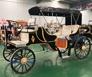 Carrosse de Victoria électrique pour le tourisme et les mariages, transport spécial, prix usine, à vendre - Product Image 2