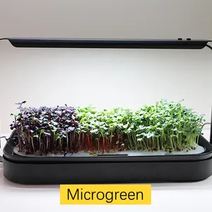 실내 정원 수경 정원 시스템 야채 재배 led 트레이 microgreen 성장 시스템 채식 정원 키트