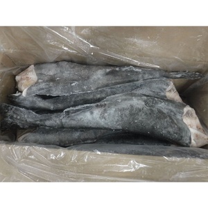 Nouvelle saison <span class=keywords><strong>Black</strong></span> <span class=keywords><strong>Cod</strong></span> HG de Kingsun Foods <span class=keywords><strong>Black</strong></span> <span class=keywords><strong>Cod</strong></span> Fish de Singapour - Product Image 1