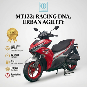 Scooter à essence EURO 5 EFI 125cc pour adultes, moteur 4 temps 1P52QMI, 80 km/h, scooter à essence, moto à essence avec CBS, homologué pour la route - Product Image 1