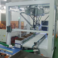 Máquina Empacadora de Cajas Automática, Robot Delta para Empacar Cajas de Alimentos, Bebidas y Cigarrillos en Fábricas, Rápida