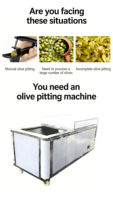 Machine automatique à dénoyauter et séparer les noyaux d'abricots, d'avocats, de prunes et de pêches