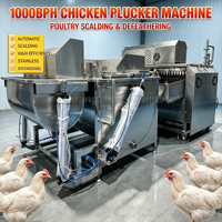 Machine d'échaudage et de plumage de volailles automatique 1000 BPH, machine industrielle d'échaudage et de plumage de poulets pour ligne d'abattage de volailles